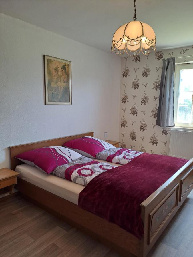 Keller'S Ferienwohnung An Der Saale Schwarzenbach an der Saale Exteriér fotografie